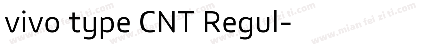vivo type CNT Regul字体转换
